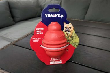 Top Dog Fetch Toys Reviews Based on Real Use Chew Test